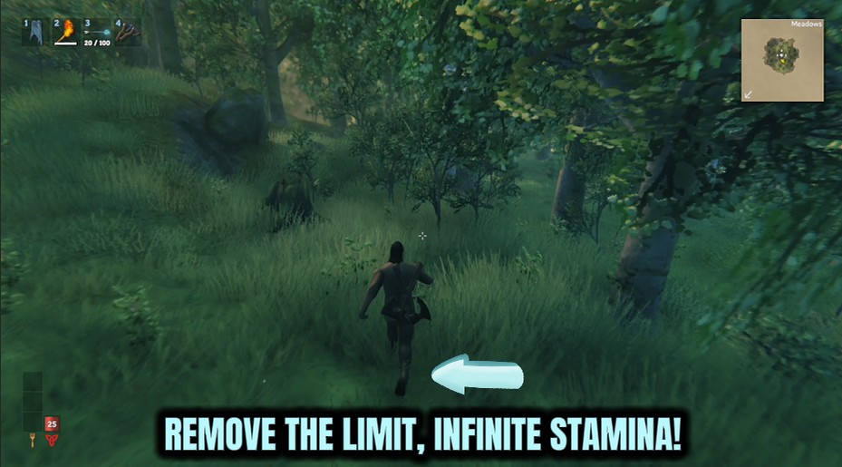 Valheim — Iron Hide (God Mode & Health) (screenshot 4)